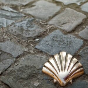 Libertad sobre dos ruedas Camino de Santiago